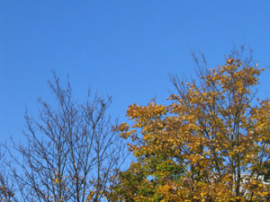 Frühling 06